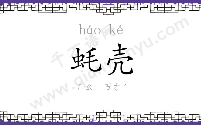 蚝壳