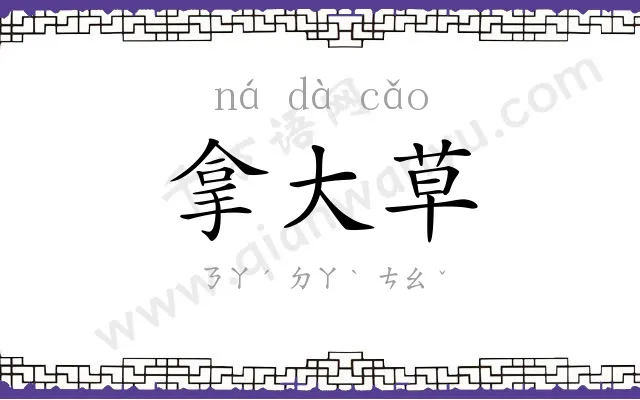 拿大草