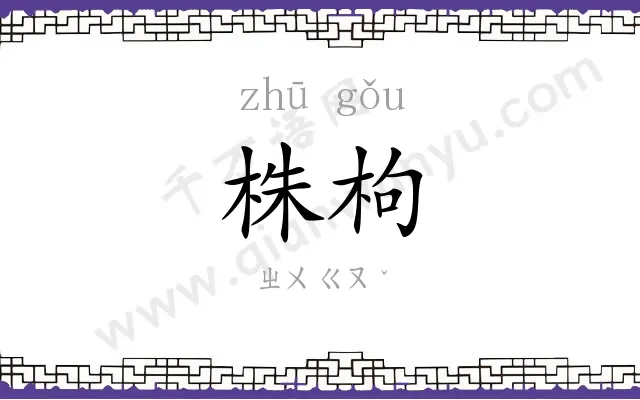 株枸