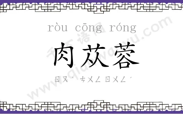 肉苁蓉