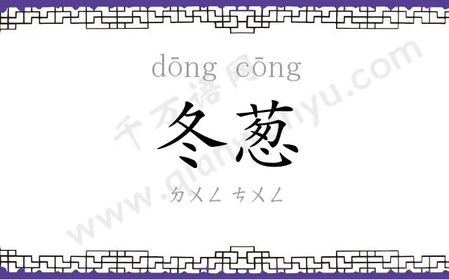 冬葱