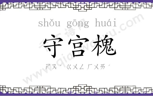 守宫槐