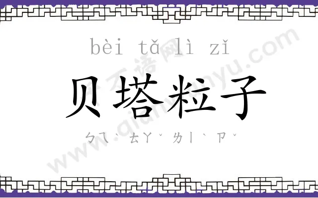 贝塔粒子