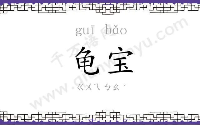 龟宝