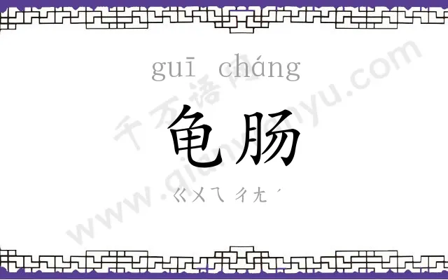 龟肠