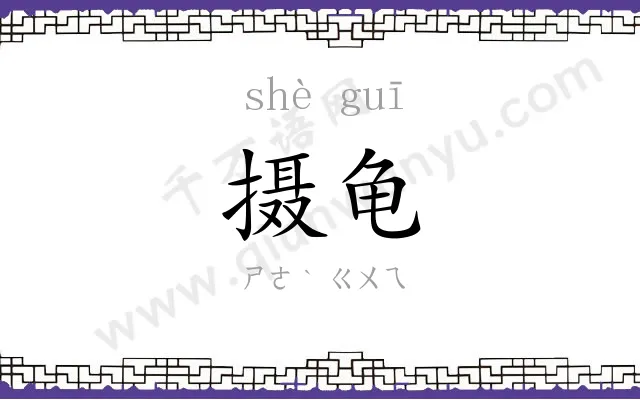 摄龟