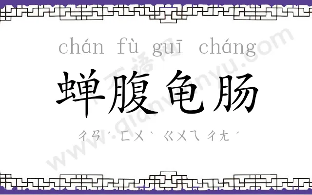 蝉腹龟肠