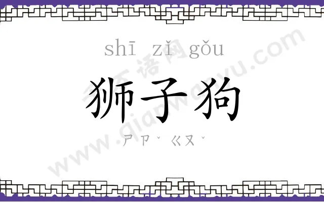 狮子狗