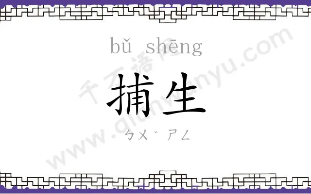 捕生