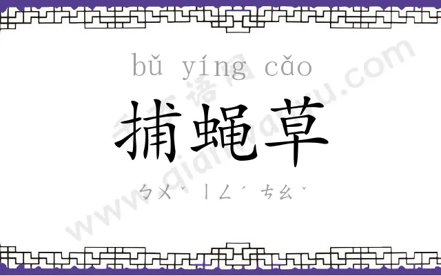 捕蝇草