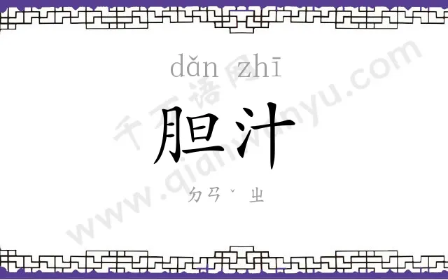 胆汁