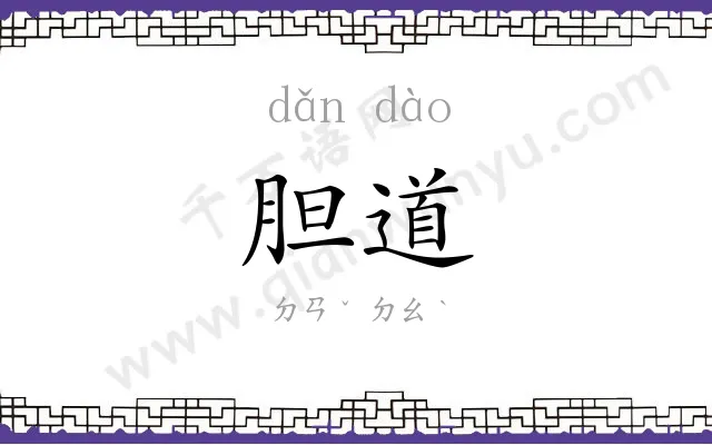 胆道
