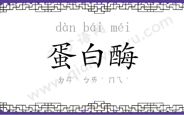 蛋白酶