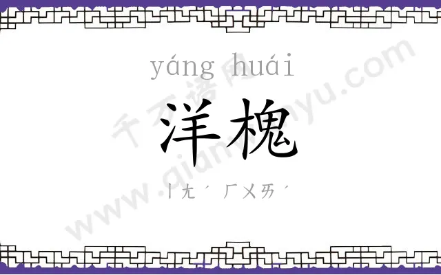 洋槐