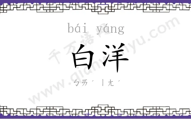白洋