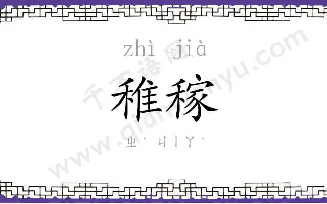 稚稼