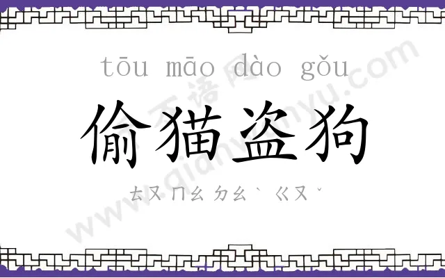 偷猫盗狗