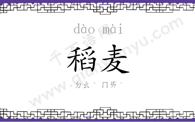 稻麦