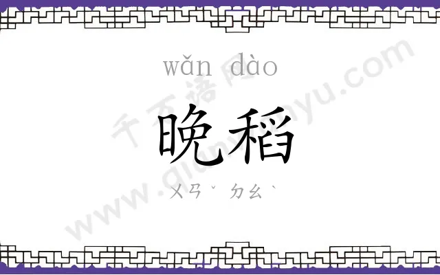 晚稻