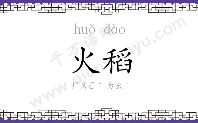 火稻