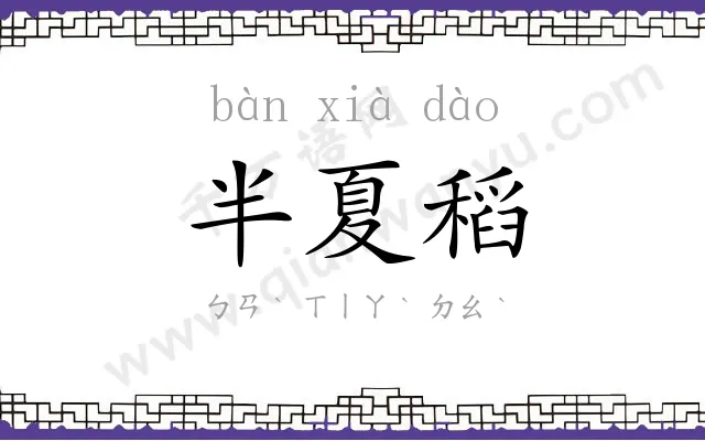 半夏稻