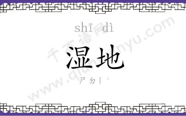 湿地