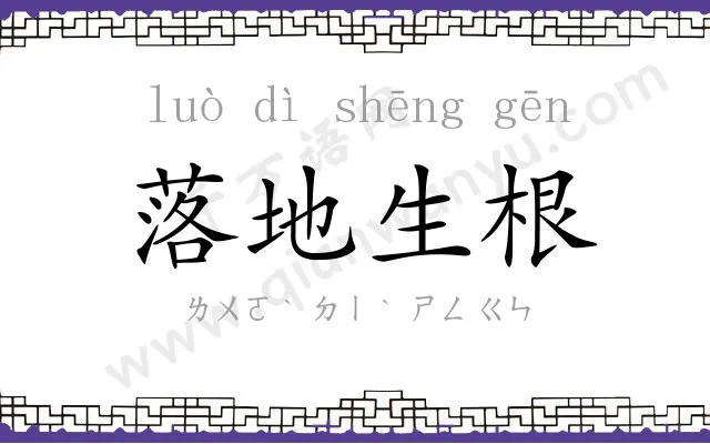 落地生根