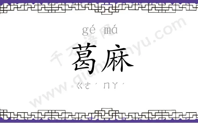 葛麻