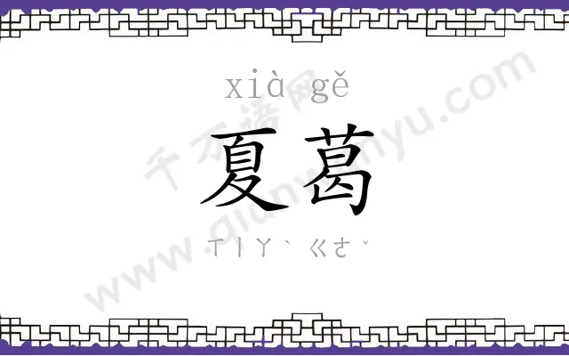 夏葛