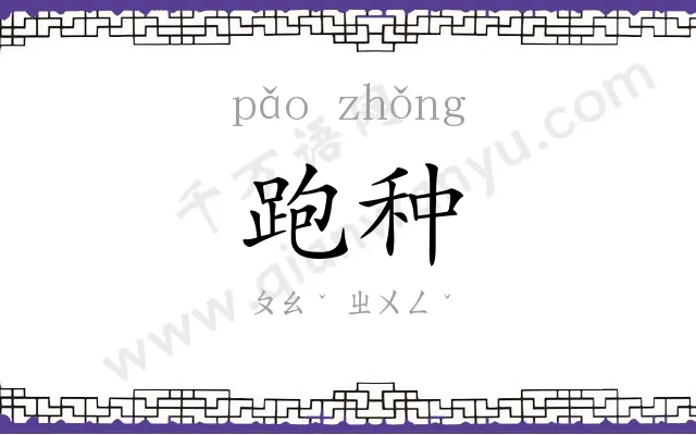 跑种