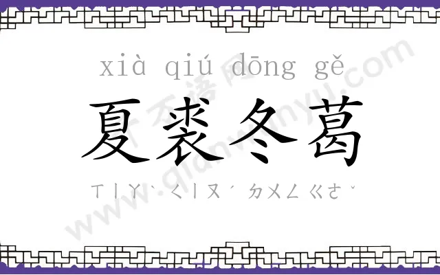 夏裘冬葛