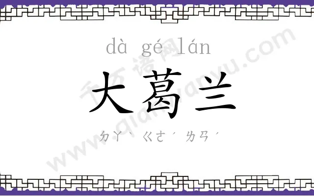 大葛兰