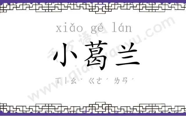 小葛兰