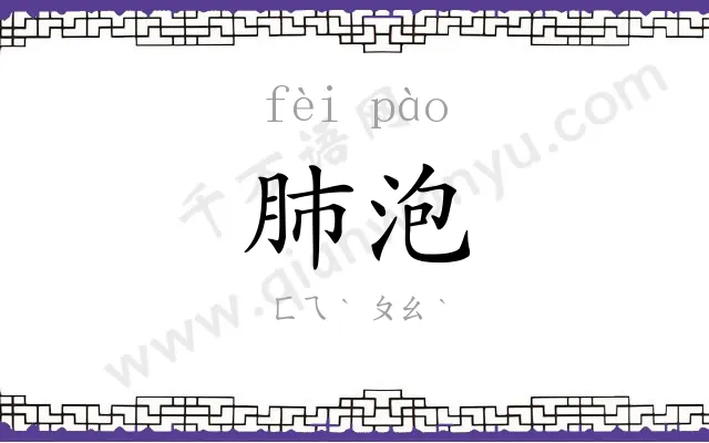 肺泡