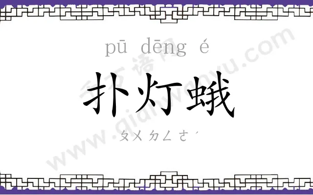 扑灯蛾