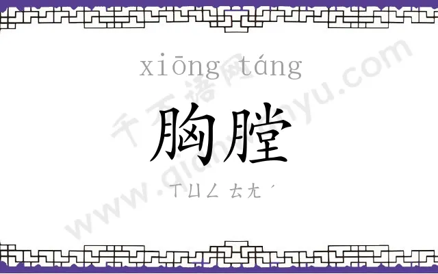 胸膛