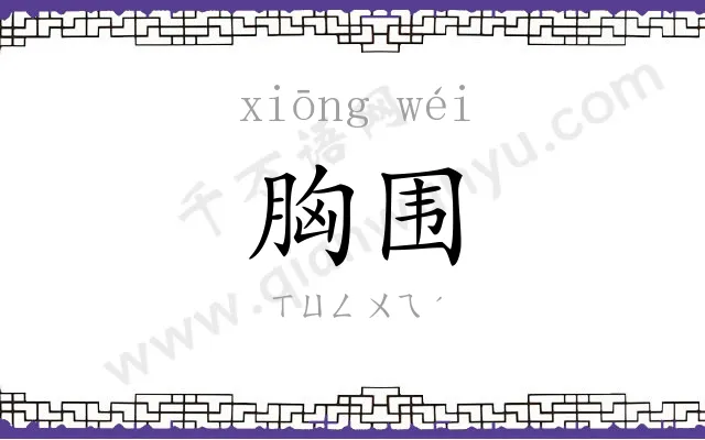 胸围