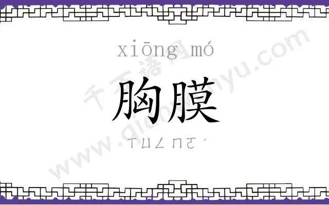 胸膜
