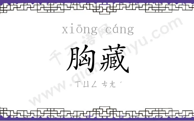 胸藏