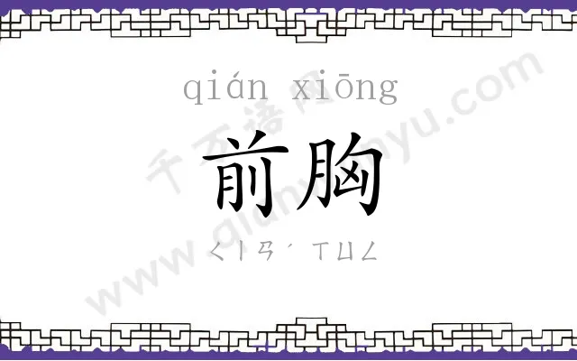 前胸