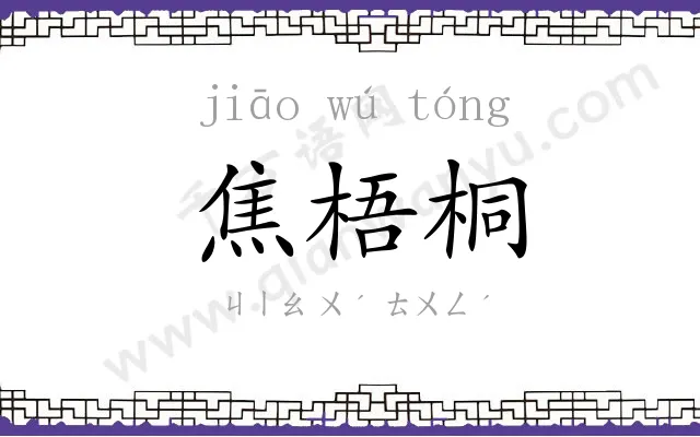 焦梧桐