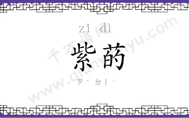 紫菂
