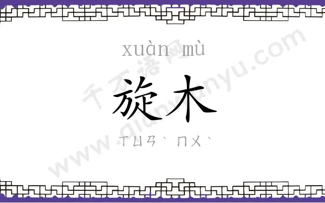 旋木