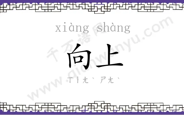 向上
