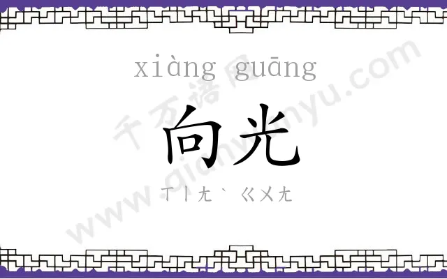 向光