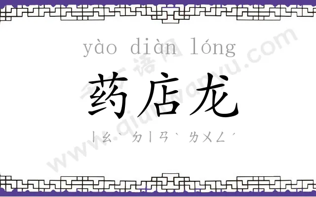 药店龙
