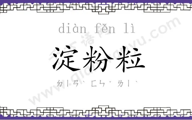 淀粉粒