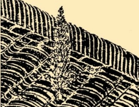 1667799879315084.png image.png