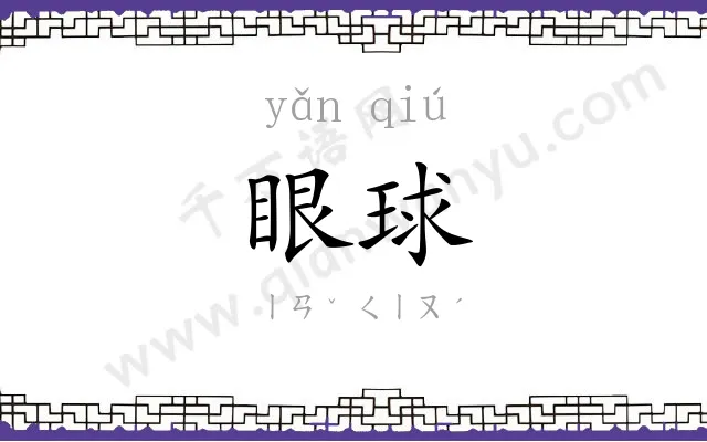 眼球