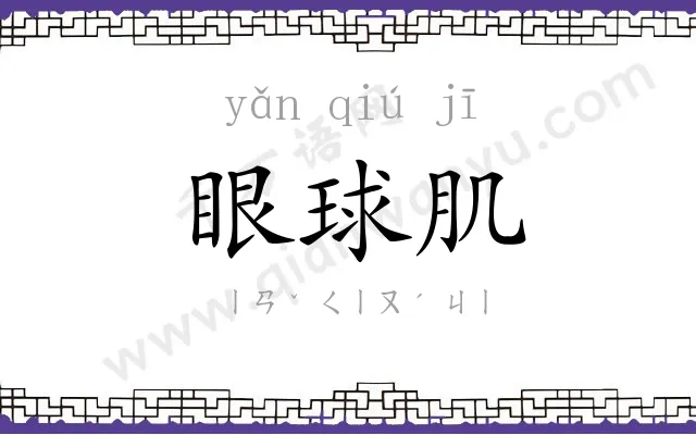 眼球肌